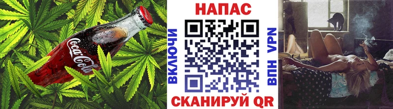 blacksprut ссылка  Заводоуковск  Cannafood конопля 
