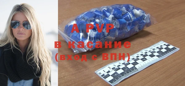 PSILOCYBIN Беломорск
