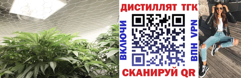 ТГК THC oil  закладка  Заводоуковск 
