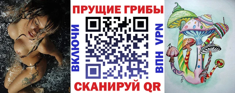 как найти наркотики Заводоуковск Псилоцибиновые грибы Magic Shrooms